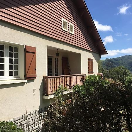Grande Maison Confortable A Bagneres Dış mekan fotoğraf