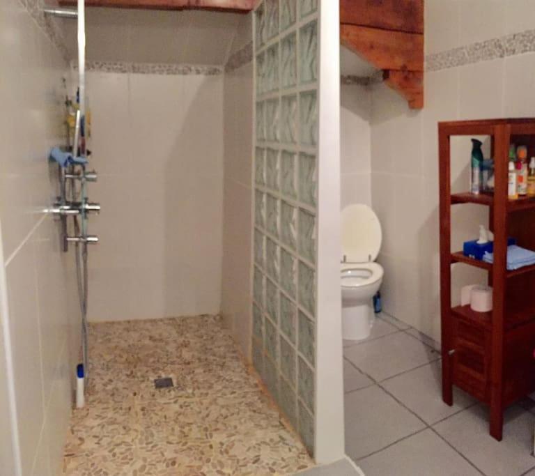 Grande Maison Confortable A Bagneres Dış mekan fotoğraf